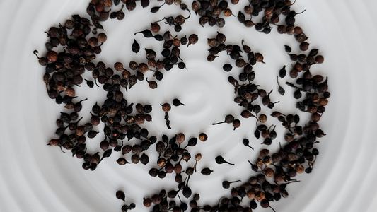 Likouala Pepper in a white plate
