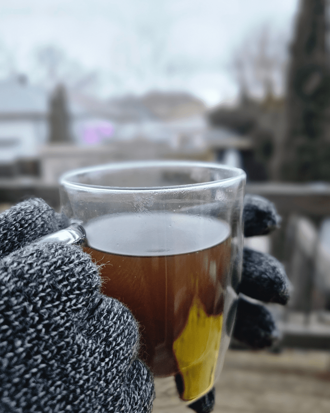 Thé Mondia Whitei (Gingembre Blanc)